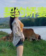 契约娇妻哪里逃