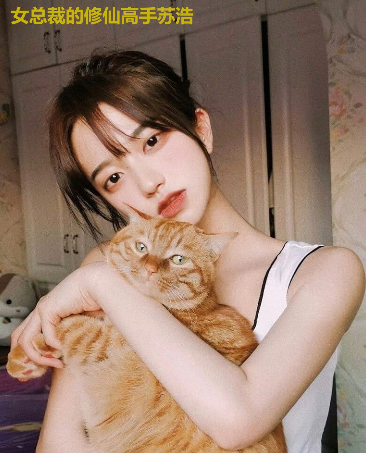 女总裁的修仙高手苏浩