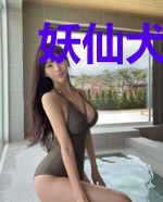 妖仙犬夜叉