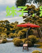 妹子，别这样