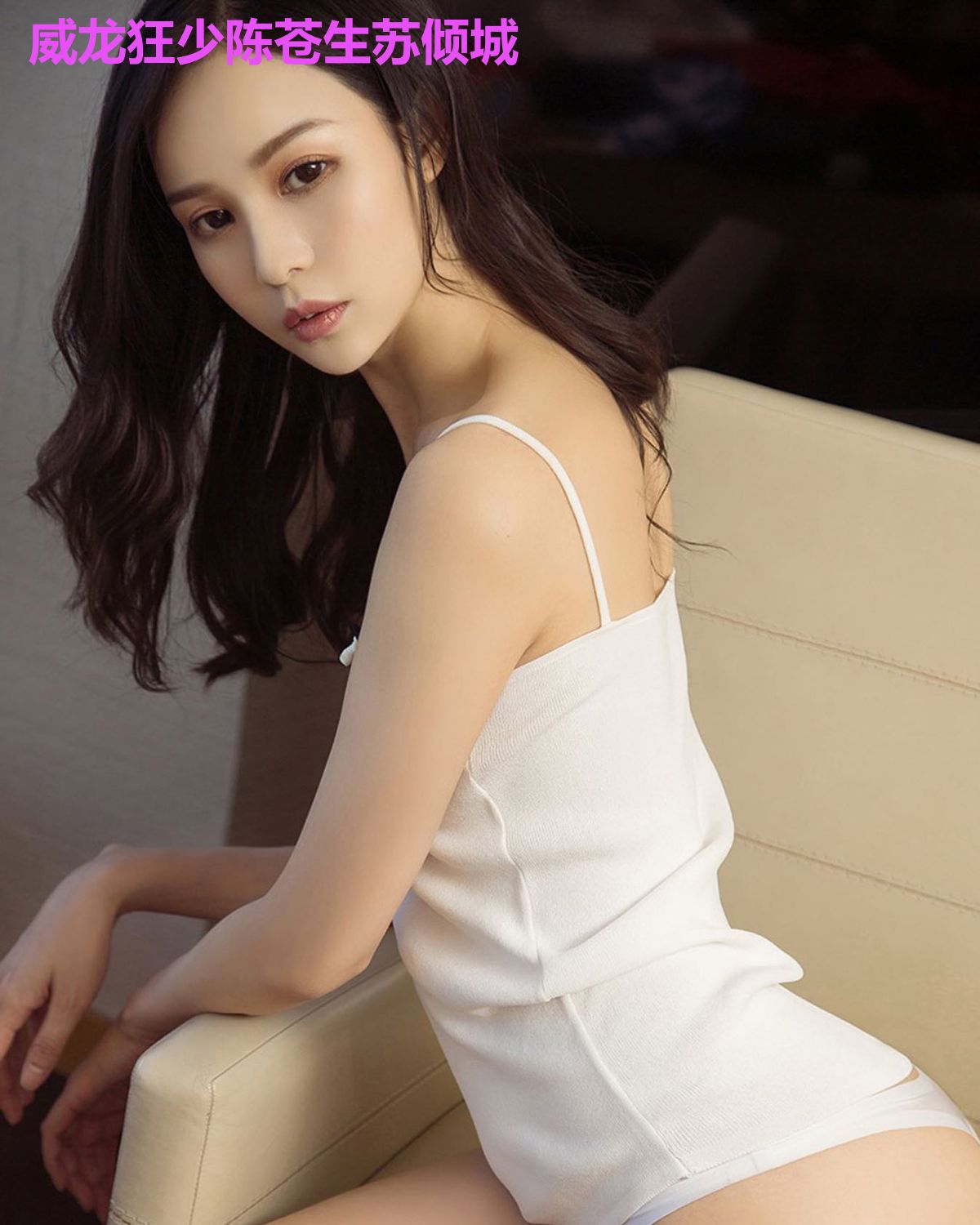 威龙狂少陈苍生苏倾城