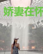 娇妻在怀苏堇泉