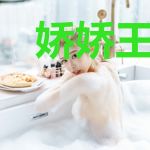 娇娇王妃是朵伪白莲