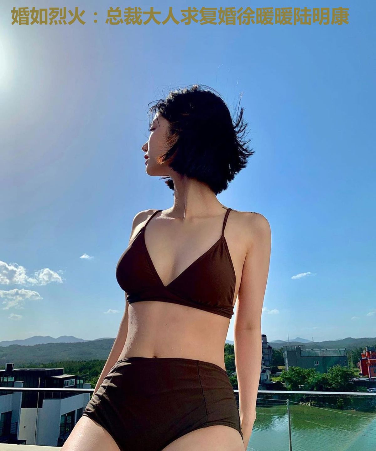 婚如烈火：总裁大人求复婚徐暖暖陆明康