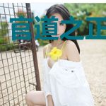 官道之正义之剑