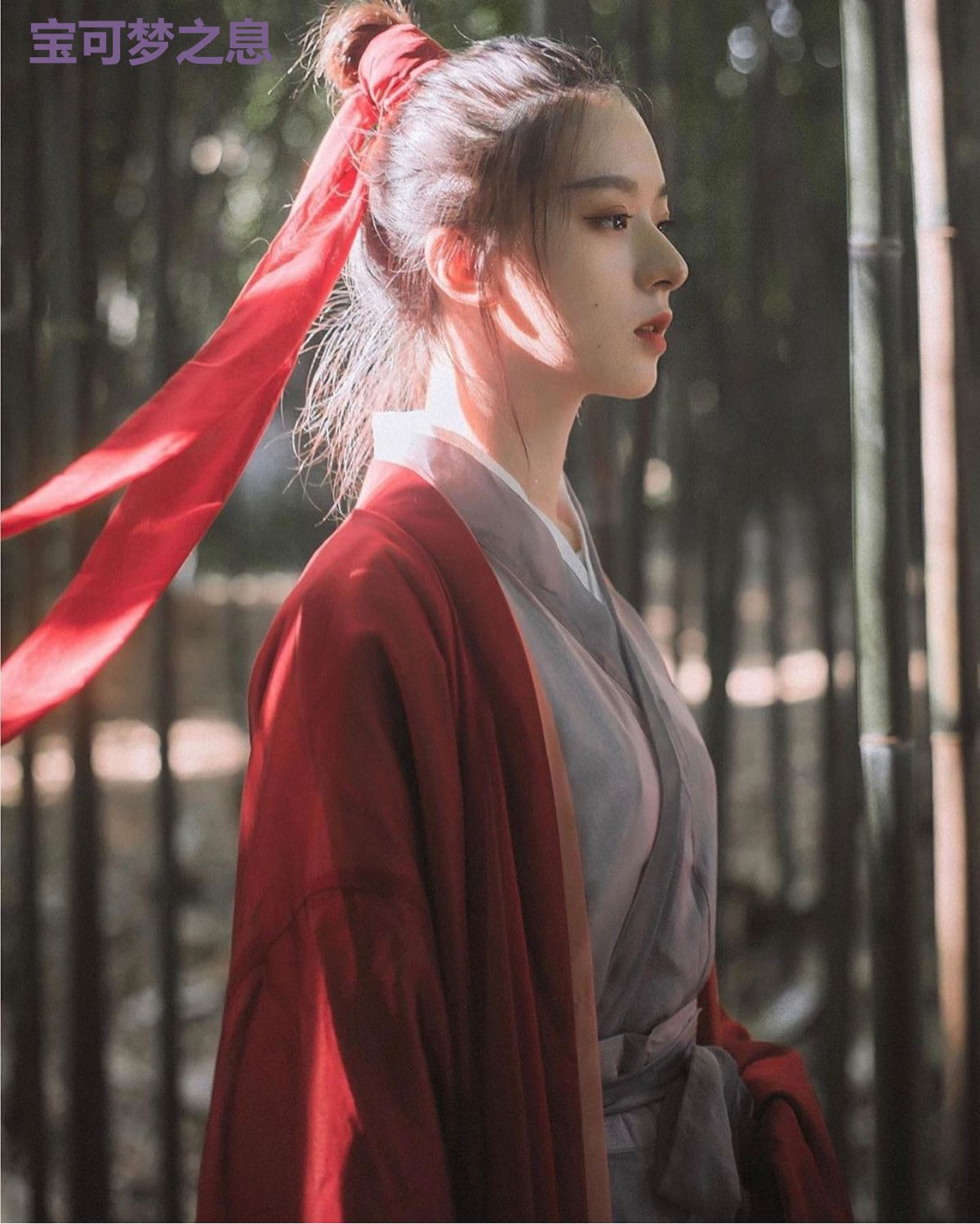 宝可梦之息