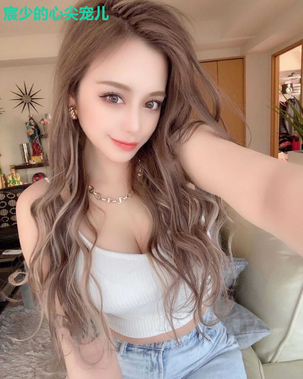 宸少的心尖宠儿