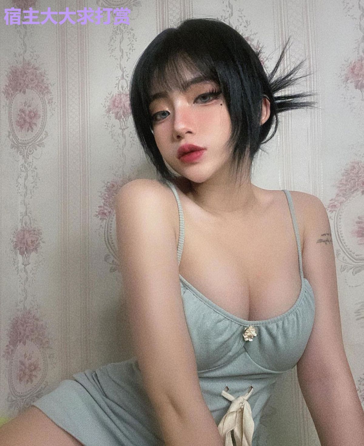 宿主大大求打赏
