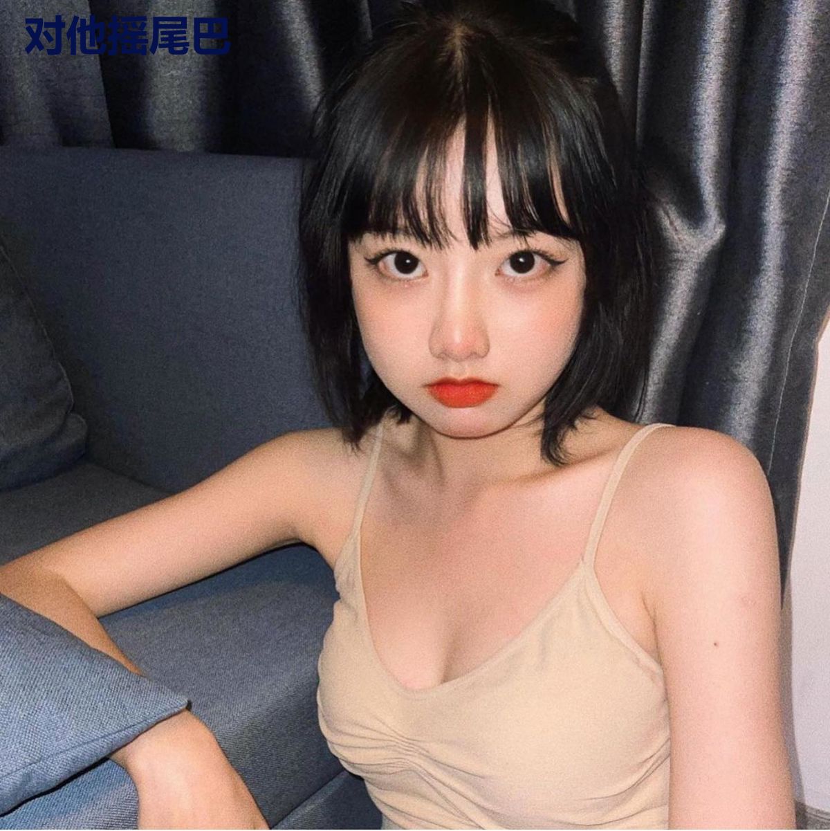 对他摇尾巴