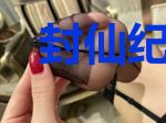 封仙纪之仙尊赘婿