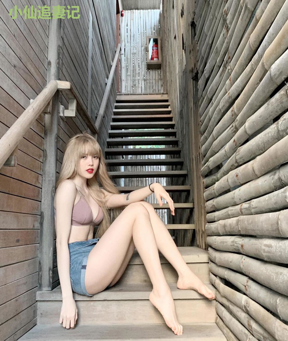小仙追妻记