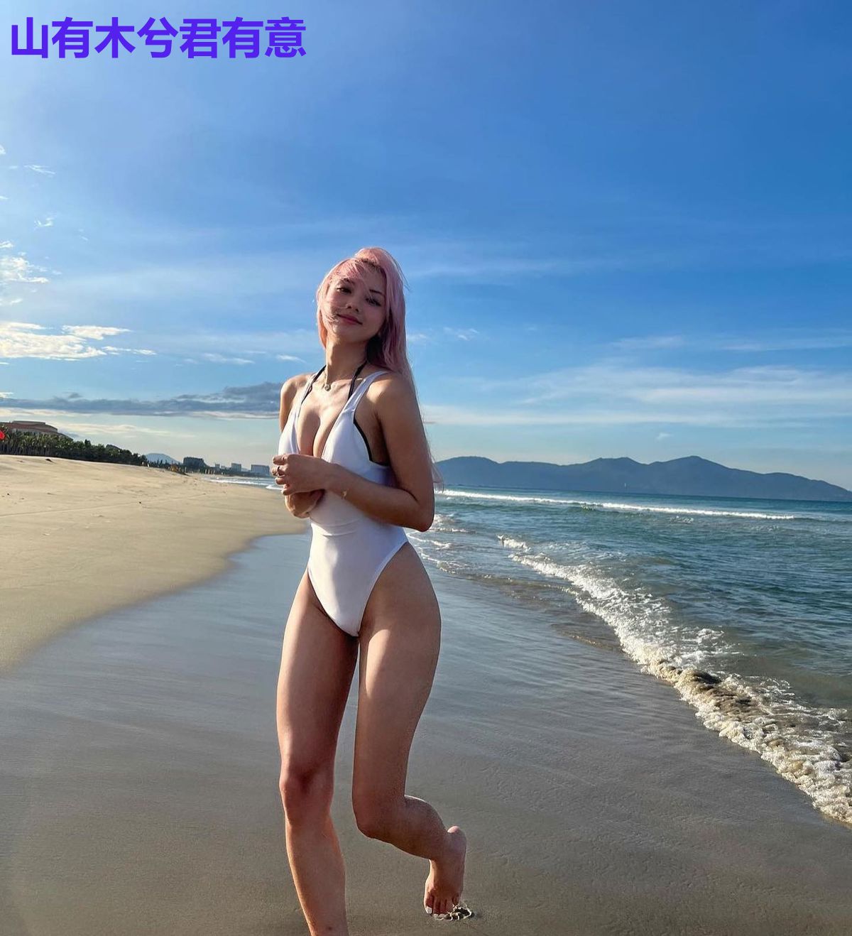 山有木兮君有意