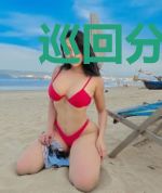 巡回分天地
