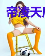 帝凌天唐禹嫣
