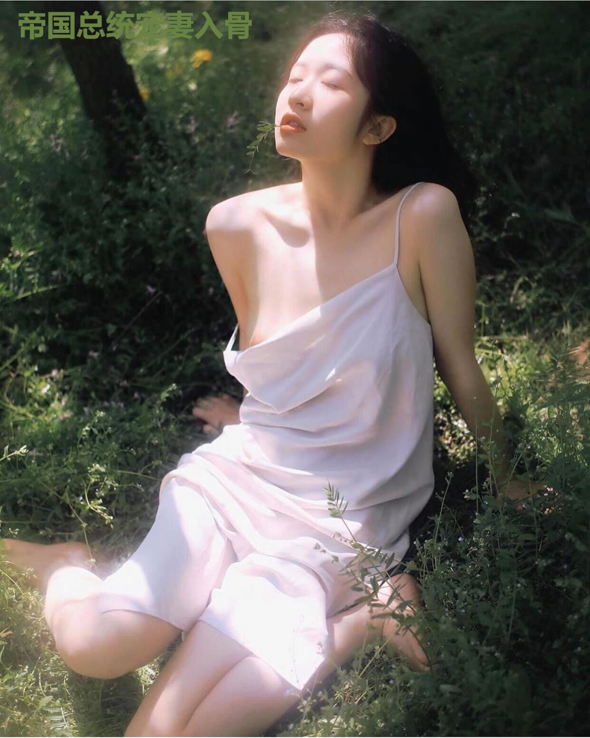 帝国总统宠妻入骨