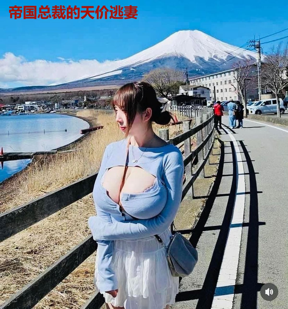 帝国总裁的天价逃妻