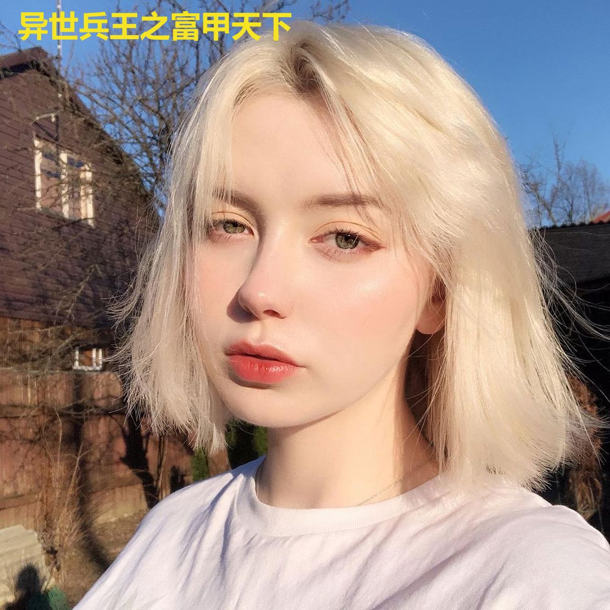 异世兵王之富甲天下