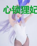心锁狸妃沐小狸