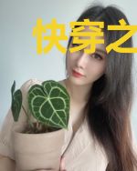 快穿之偏执大佬为我意乱情迷