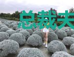 总裁夫人以娃服人