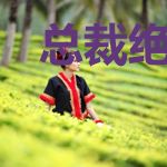 总裁绝宠：老婆霸道也温柔