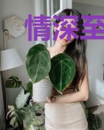 情深至此：首席霸爱99天