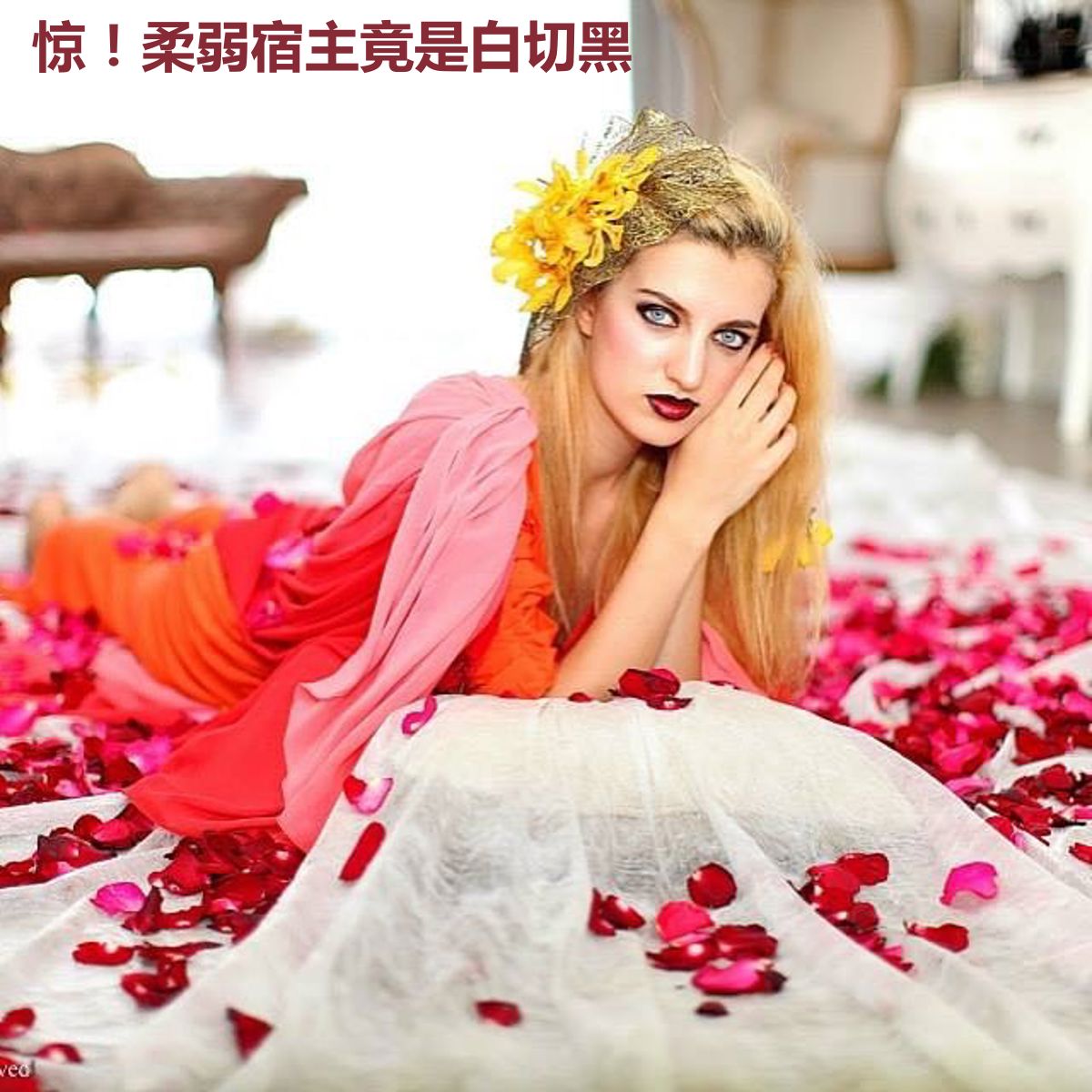 惊！柔弱宿主竟是白切黑