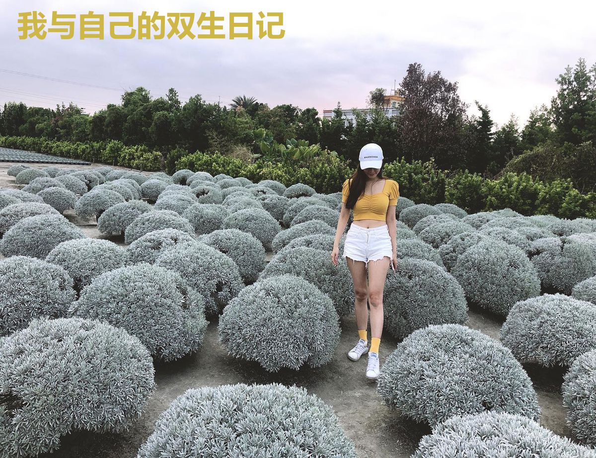 我与自己的双生日记