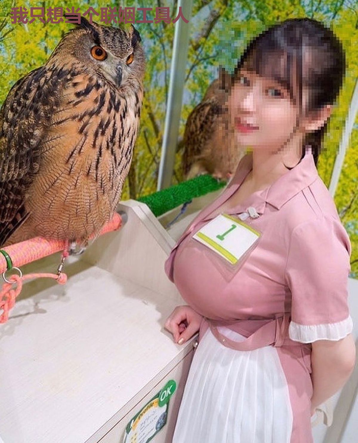 我只想当个联姻工具人