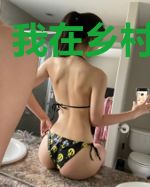 我在乡村开淘宝