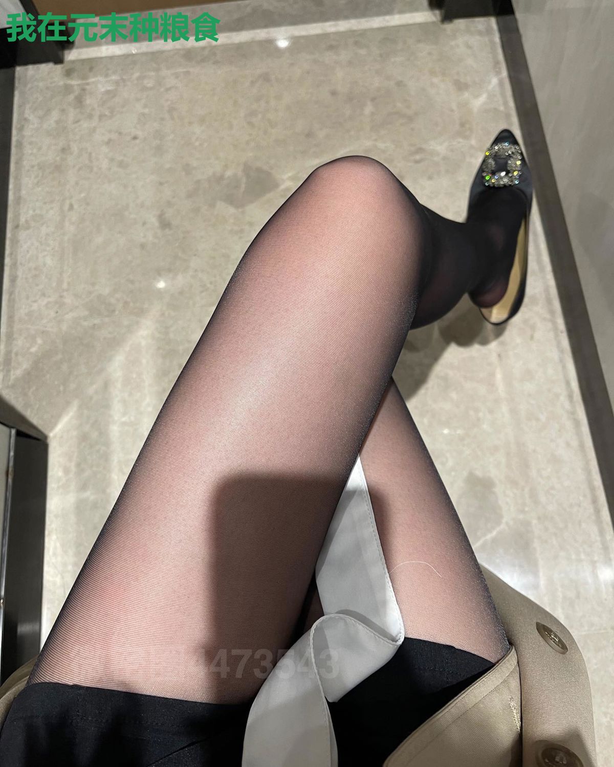 我在元末种粮食