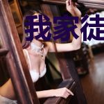 我家徒弟又又又造反了！