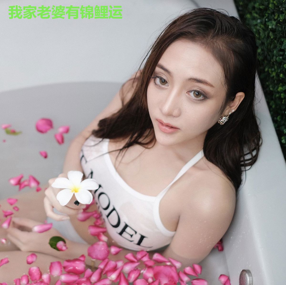 我家老婆有锦鲤运