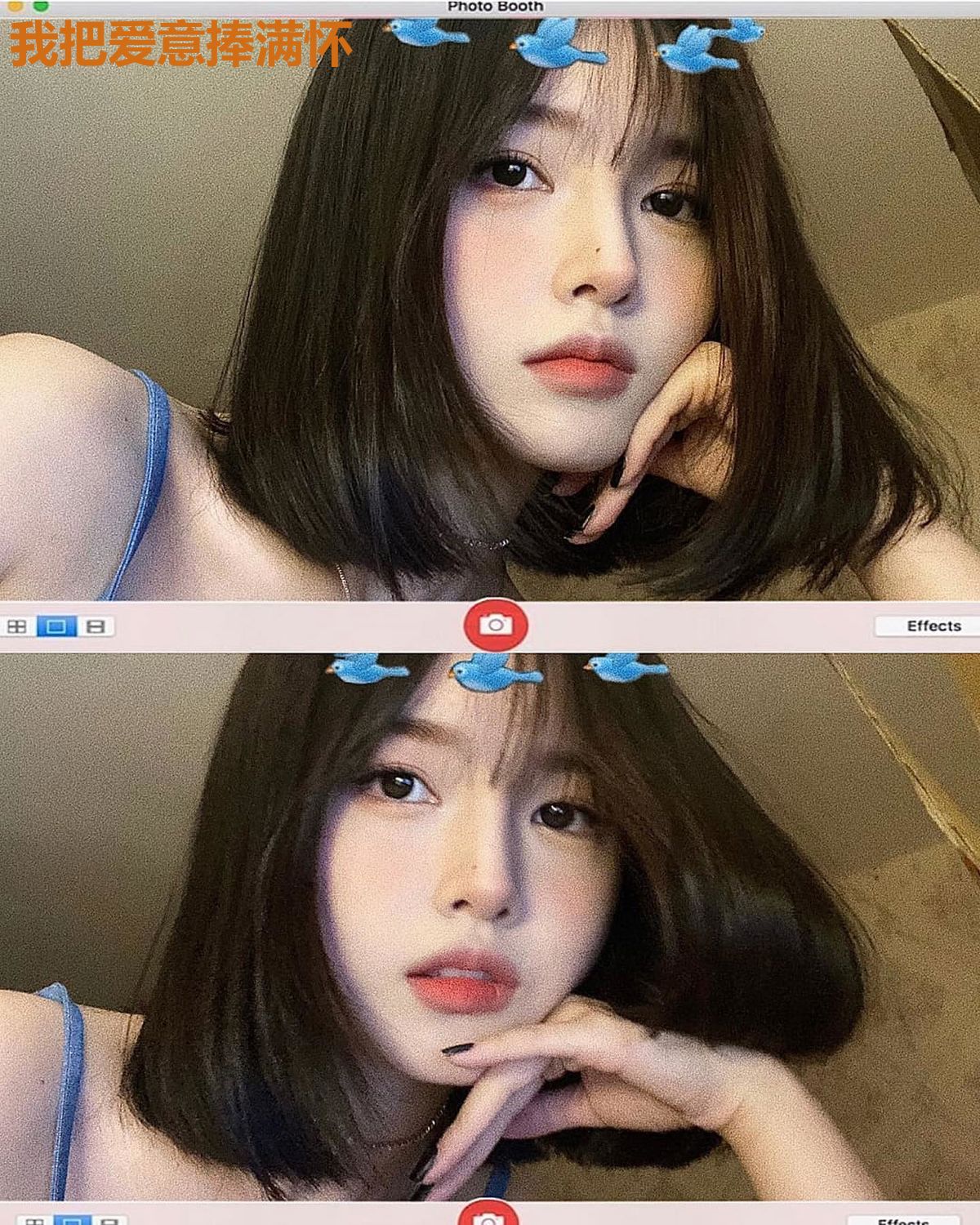 我把爱意捧满怀