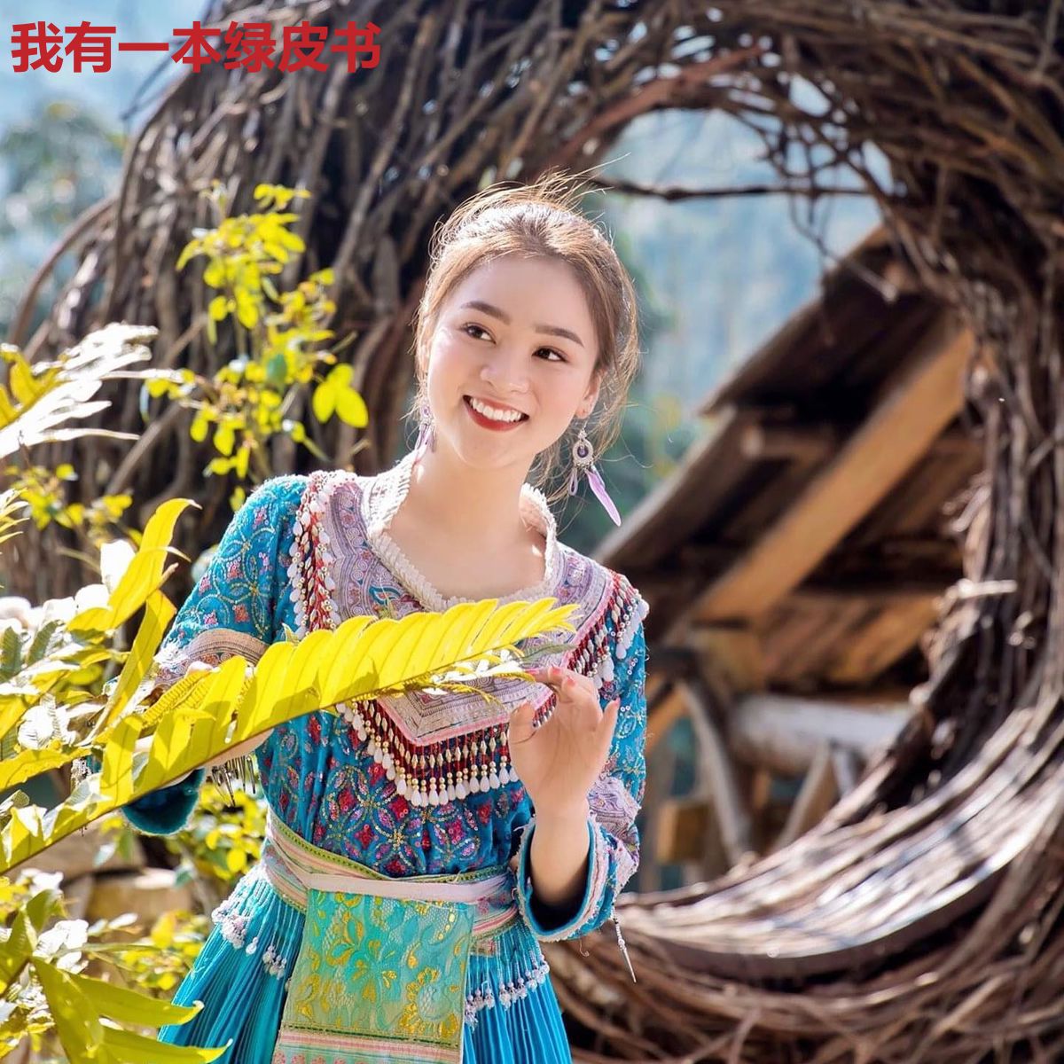我有一本绿皮书