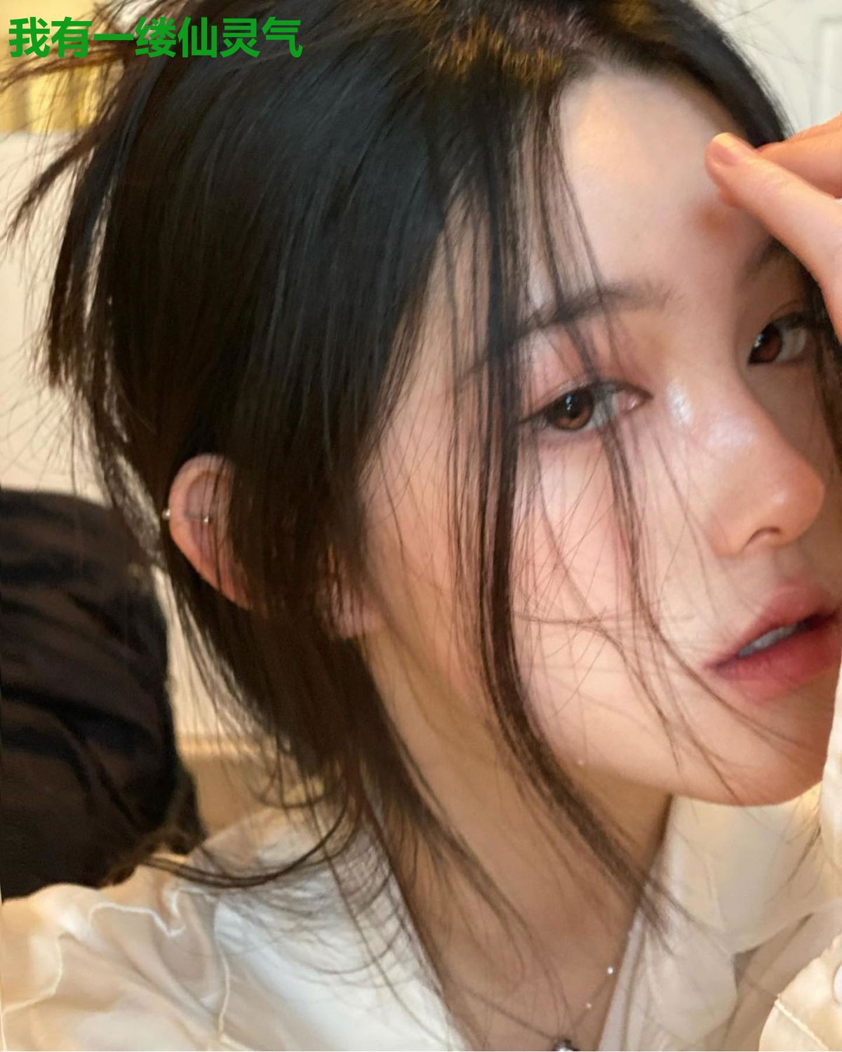 我有一缕仙灵气
