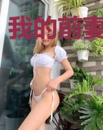 我的前妻是天后