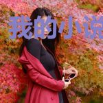 我的小说生成器