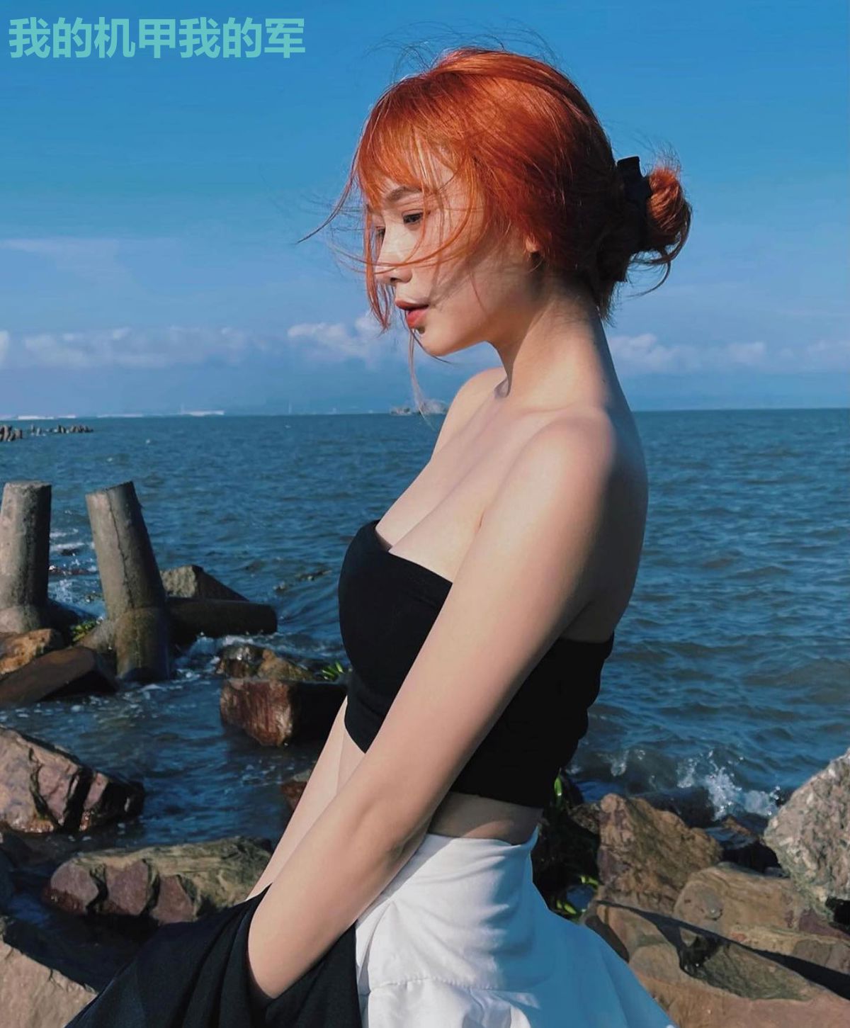 我的机甲我的军