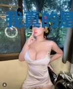 我真的是文抄公