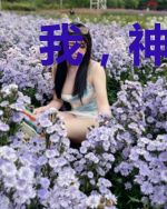 我，神主，招巫女赚钱