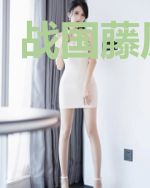战国藤原幕府