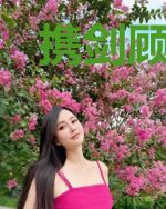 携剑顾天下