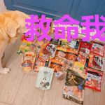救命我真的没想撩汉啊