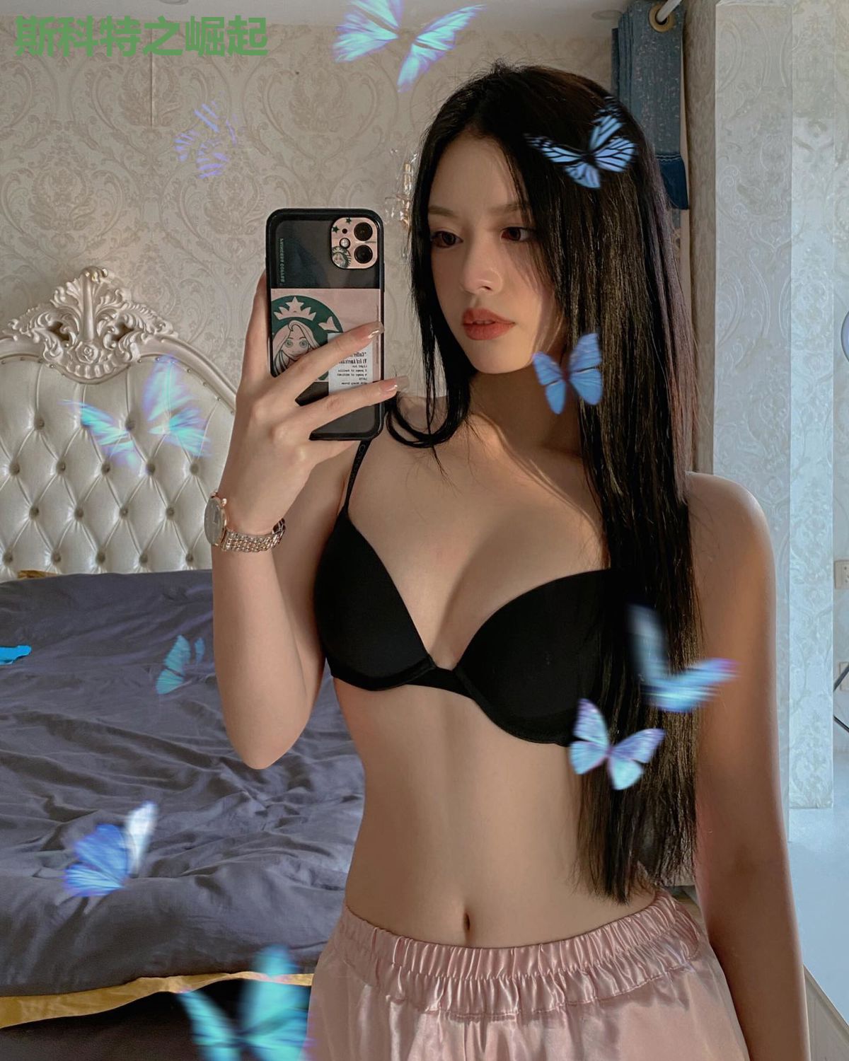 斯科特之崛起