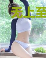无上至尊录