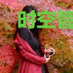 时空管理员的幸福生活