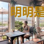 明明是炮灰，主角却把我当白月光