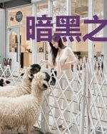 暗黑之流浪