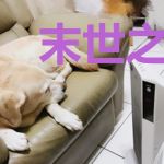 末世之影刹